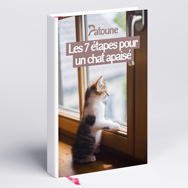 E-book :  Les 7 étapes pour un chat apaisé