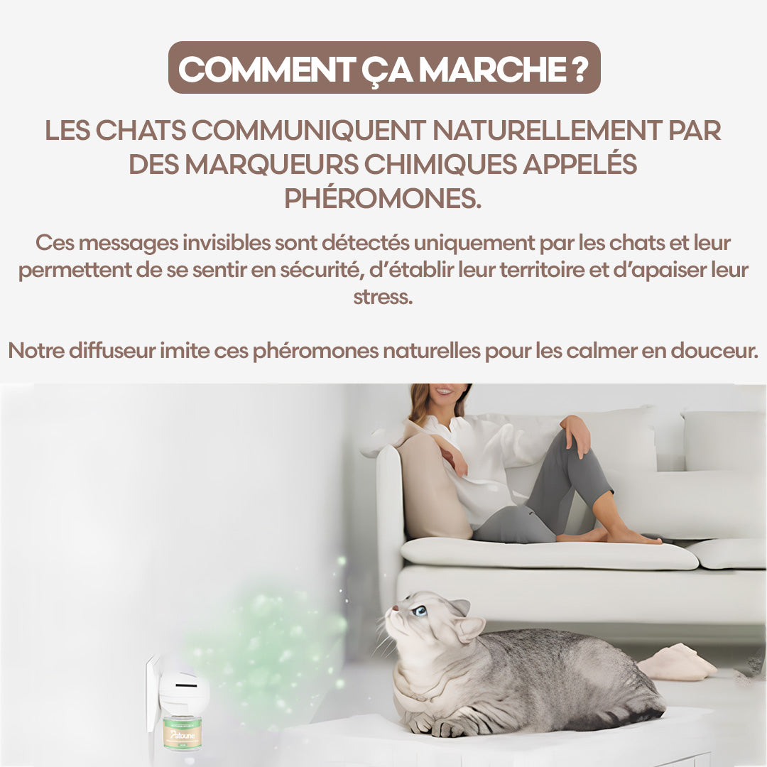 Diffuseur apaisant pour chat