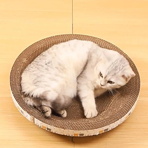 Chat couché dans un griffoir lounge en carton ondulé