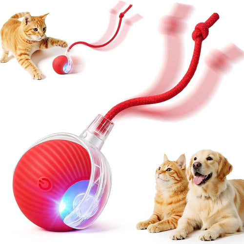 Balle interactive lumineuse avec ruban, un chat et un chien