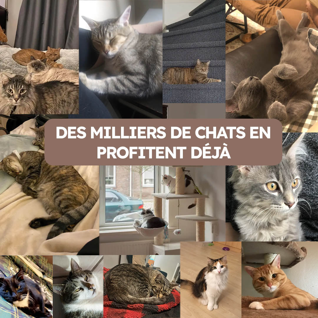 Diffuseur apaisant pour chat